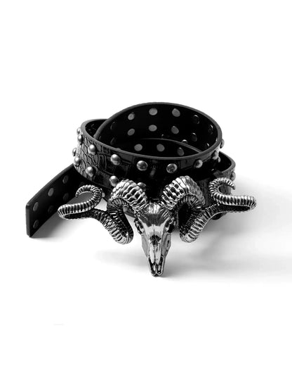 The Aries Outlaw Belt